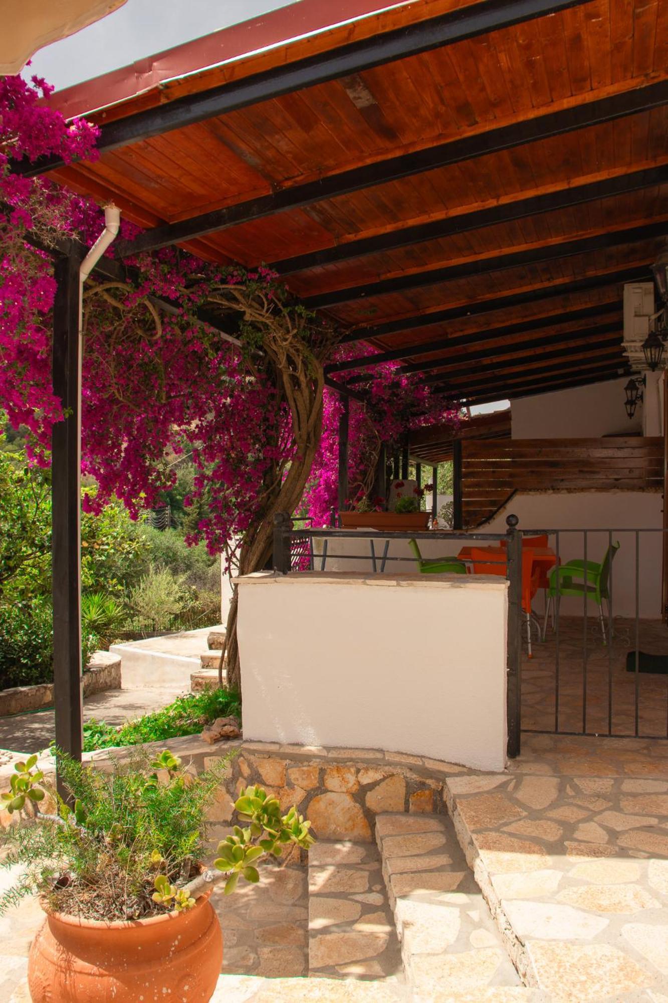 Villa Sissy Studios & Apartments Sívota Eksteriør bilde